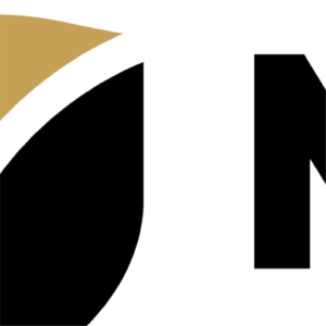 merit_web portfolio zoomed