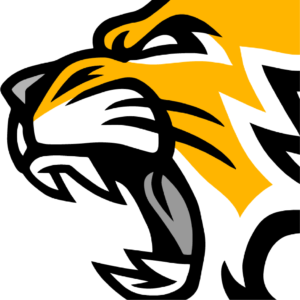 mv_web portfolio zoomed